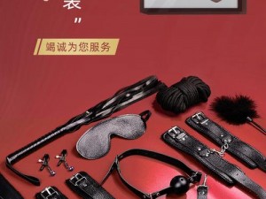 成人情趣用品——一边摸一边亲扒胸衣视频