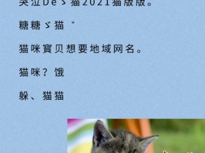 新版猫咪地域网名——连接你我，跨越地域的猫咪交流平台