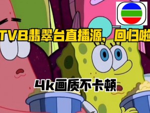 画质清晰、流畅不卡顿的国产高清精品王播放器