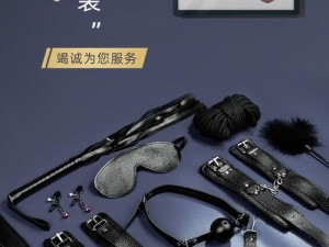 成人情趣玩具：公共场合被各种陌生人 NP