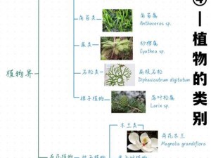 秋日森林深处的神秘生物：如何触发其踪迹的探索