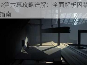 Inside第六幕攻略详解：全面解析囚禁关卡图文指南