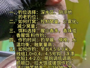 方舟鱼竿装鱼饵全攻略：轻松掌握垂钓技巧，细节步骤全解析