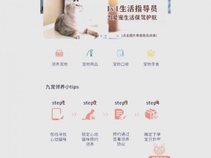 红猫大本猫最新人口，一款集多种功能于一身的优质产品