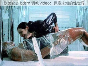 欧美变态 bdsm 调教 video：探索未知的性世界