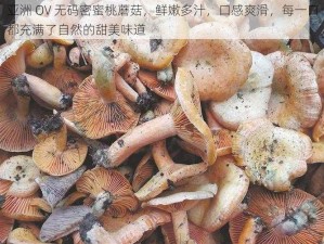 亚洲 OV 无码密蜜桃蘑菇，鲜嫩多汁，口感爽滑，每一口都充满了自然的甜美味道