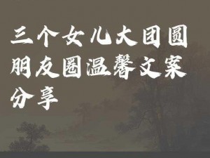 大团圆结 2 亲情会王芳高敏牌亲情藕粉，口感细腻，营养丰富，是您馈赠亲友的佳品