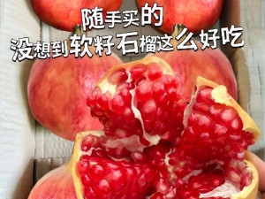 帕夏时代石榴的丰收之路：如何获取与品味石榴佳果