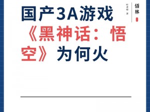 记忆边境游戏开发商揭秘：国产游戏的骄傲与荣誉探寻其成功背后的力量之源