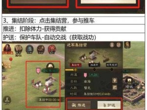 三国志战棋版护卫效果深度解析：护卫技能的作用与实战应用探究