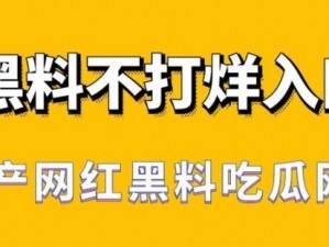 免费黑料吃瓜网爆网站，一个提供明星、名人、网红等公众人物黑料和爆料的网站