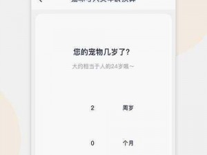 幸福宝 APP 官网入口站长统计——功能强大的站长工具