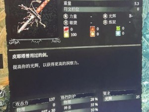 堕落之主：光辉流武器精选与运用解析