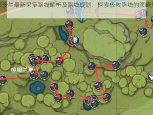 原神帕蒂沙兰最新采集路线解析及路线规划：探索极致路线的策略指南（2023版）