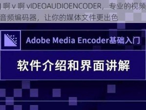 J 啊 v 啊 vIDEOAUDIOENCODER，专业的视频音频编码器，让你的媒体文件更出色