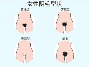 女人下面毛多水多免费 A 片：一款专门为女性设计的私密护理产品