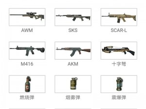 绝地求生刺激战场勋章全览：勋章获取攻略与荣耀之路探索