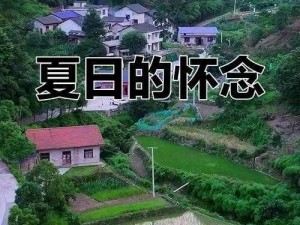 夏日回忆四森林晨钟暮鼓 在夏日回忆中，四森林晨钟暮鼓有何意义？