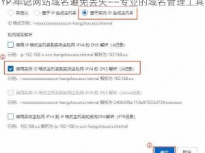 YP 牢记网站域名避免丢失——专业的域名管理工具