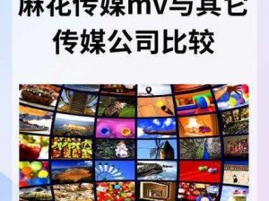 麻花传媒 MV 国产在线观看使用方法-一款视频播放软件