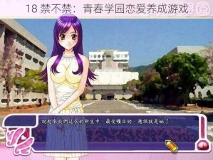 18 禁不禁：青春学园恋爱养成游戏