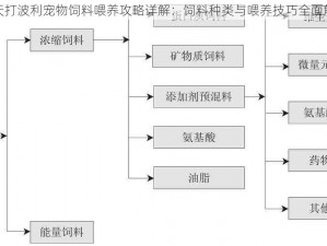 天天打波利宠物饲料喂养攻略详解：饲料种类与喂养技巧全面解析