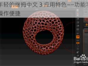 丰年轻的继拇中文 3 应用特色——功能丰富，操作便捷