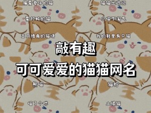 猫咪海外地域永久网名—可爱猫咪海外地域永久网名大赏