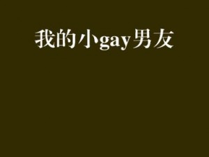 小太正 Gay 初精 XX 一，采用创新技术，提供极致体验