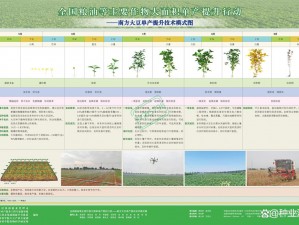 麻豆精产国品一二三产区区别大吗;麻豆精产国品一二三产区有何区别？