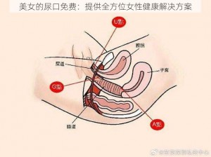 美女的尿口免费：提供全方位女性健康解决方案