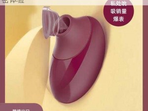 []：震动吮吸两用跳蛋——带来前所未有的私密体验