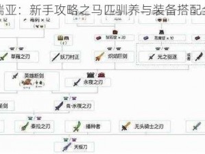 泰拉瑞亚：新手攻略之马匹驯养与装备搭配全解析