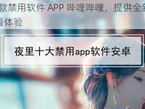 18 款禁用软件 APP 哔哩哔哩，提供全新的观看体验