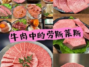 和牛做太舒服了，精选澳洲和牛，肉质鲜嫩多汁，口感醇厚