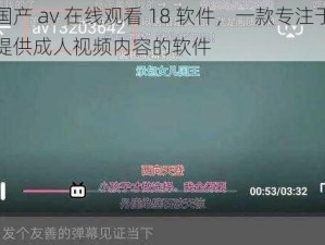 国产 av 在线观看 18 软件，一款专注于提供成人视频内容的软件