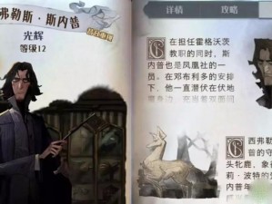 哈利波特魔法觉醒斯内普谜题终极攻略：解锁秘密技能，智破关卡全解析