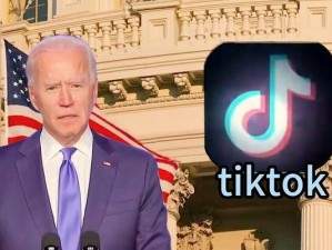 tiktok成年版151—tiktok 成年版 151：揭秘成年人的秘密花园