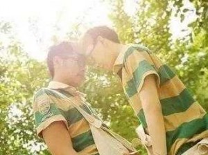 ChineSe456 老头 Gay 夕阳影院：畅享无限精彩的视频世界