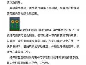 泰拉瑞亚新手无忧攻略：肉山挑战最简单无伤攻略详解