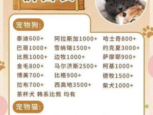 新版猫社区，优质宠物爱好者的聚集地，登录入口