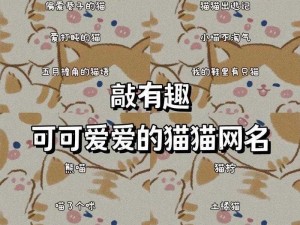 猫咪最新地域网名是什么？是一款可以让你随时随地了解猫咪最新地域网名的神器