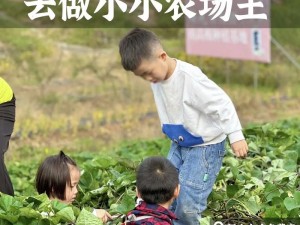 金色农场种植乐趣无穷：探索多种玩法，体验农场生活的魅力