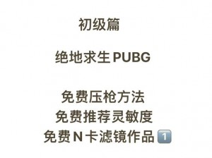 绝地求生刺激战场拉枪线战术解析与实战应用指南：提升战斗效率的拉枪线作用详解教学