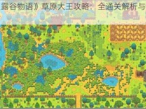 《星露谷物语》草原大王攻略：全通关解析与策略指南