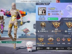 小花妹妹 csgo 游戏皮肤，高性价比之选