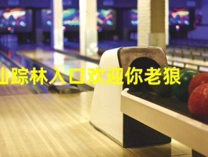 2021 仙踪林网站入口欢迎您，高品质成人内容尽在其中