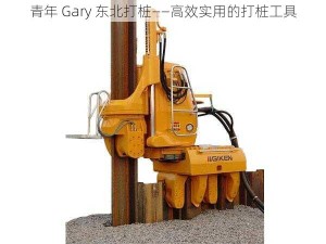 青年 Gary 东北打桩——高效实用的打桩工具