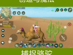 创造与魔法：骆驼饲料探索之旅——骆驼钟爱哪些滋养品？