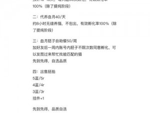 猫之城异常封锁刷新时间与重置机制详解：封锁状态刷新规律及重置时间表介绍